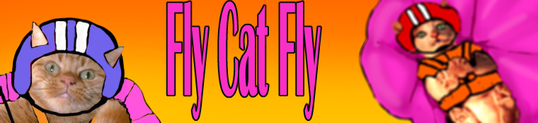 Cat sky diving website from a Drupal website designer in France